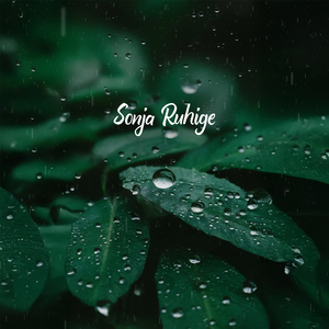 Von Ruhe Überschwemmt