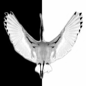 Faceplant (Not so Lo-Fi Version)