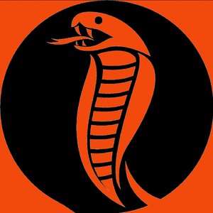 金牌车载中文越南鼓HOUSE慢摇大碟