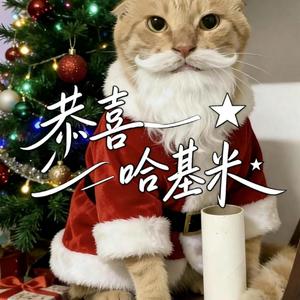 新春哈基米(新的一年 祝大家 心想事成 发大财)