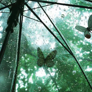 雨之圆舞曲（Waltz of the Rain）