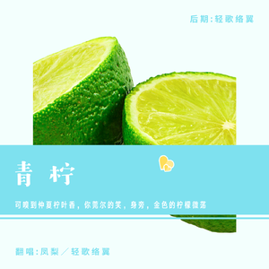青柠（翻自 徐秉龙）