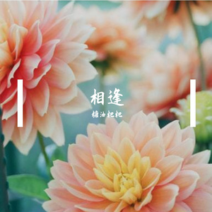 《相逢》----查杰20200411生日贺曲