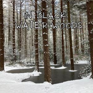 What Will I Do (Solo Piano Version)