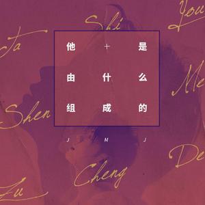 他是由什么组成的