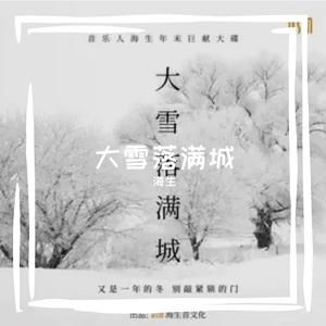 大雪落满城