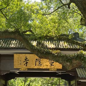 雨后日记（cover单依纯）