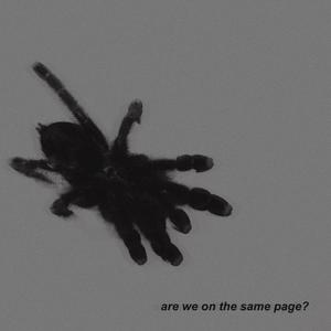 are we on the same page?