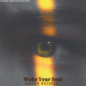 Wake Your Soul (feat. Pile Of Strings, Sensory Meditation, Alma Lin, Nina Nalo & Flame Timo)