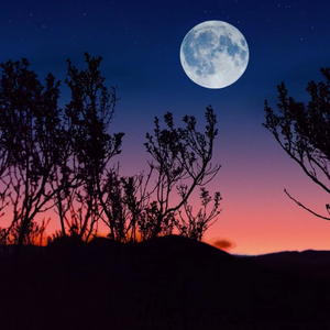 月亮悄悄翻过小山坡