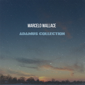 Consciousness (original mix)