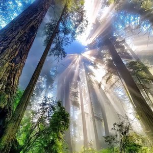 第57次取消发送