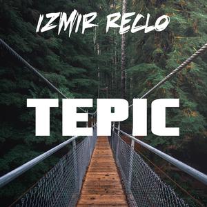 Tepic