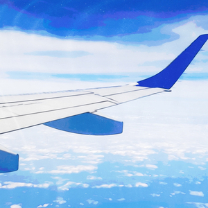 자유 한 모금, 기쁨 한 조각