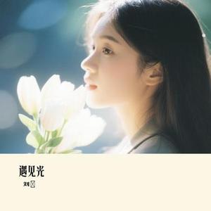 遇见光