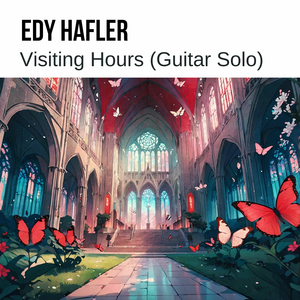 Visiting Hours (Guitar Solo)