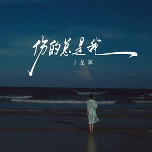 伤的总是我（爱过伤过痛过受伤的总是我） 伴奏