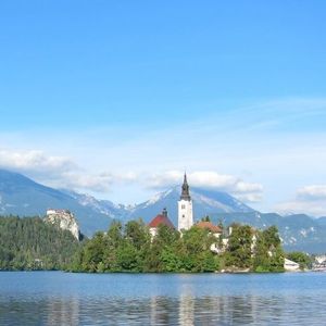 彩霞染红百花开遍天下 (13)