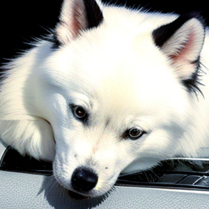 З новим роком, країно