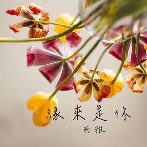 缘来是你