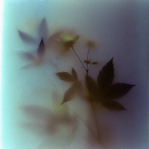 Playboi carti x Adrian Type Beat - "rryt% "