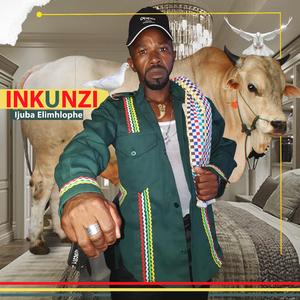 Inkunzi