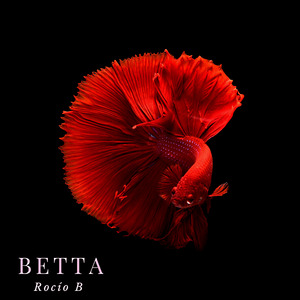 Betta