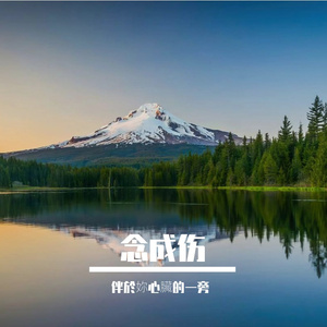 念成伤