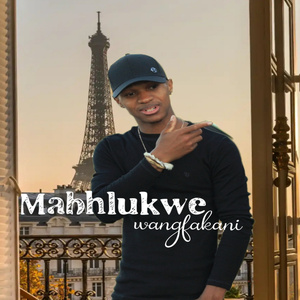 wangfakani (Radio Edit)