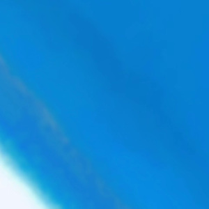 雾