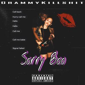 Sorry Boo