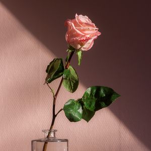 【FREE】"有情人终成眷属"-Romantic Guitar × Pop Type Beat