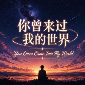你曾来过我的世界 (You Once Came Into My World)