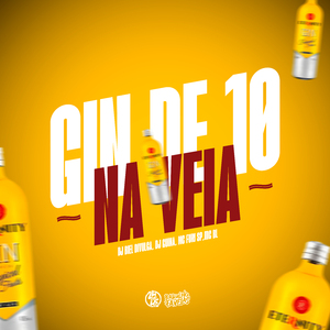 Gin de 10 na Veia