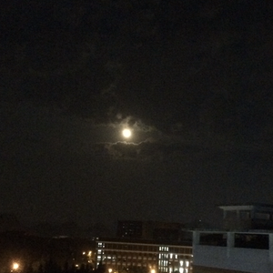 Stwo-潮湿之夜的深绿（思凡特之眼 remix）