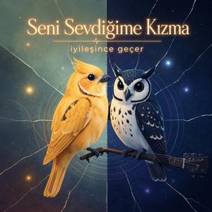 Seni Sevdiğime Kızma