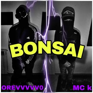 BONSAI (feat. orevvvvv0)