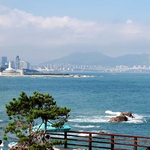 杨枝甘露