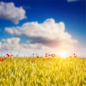 穿越时光的轮回