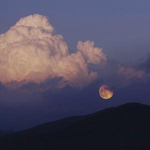 【伴奏】 料见红尘应如是