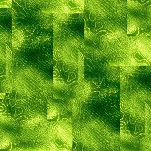 Battle! (Xerneas/Yveltal)