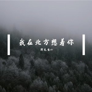 我在北方想着你.mp3
