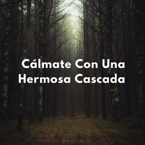 Surgiendo Y Hundiéndose