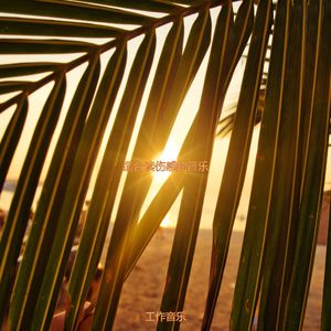 读有文化的轻音乐