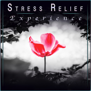 Deep Stress Relief