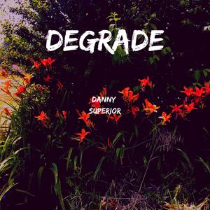 Degrade