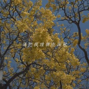 请把我埋葬在深秋(RAP Version)