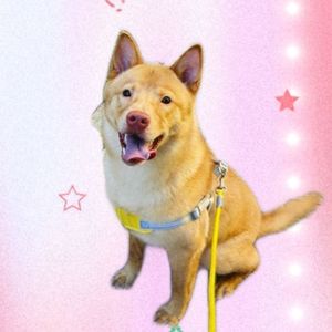 三亿分之一的思念