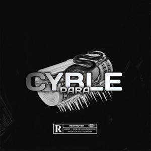 Cyble-Para
