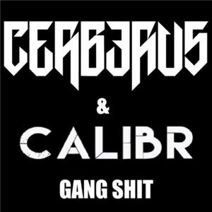GANG SHIT